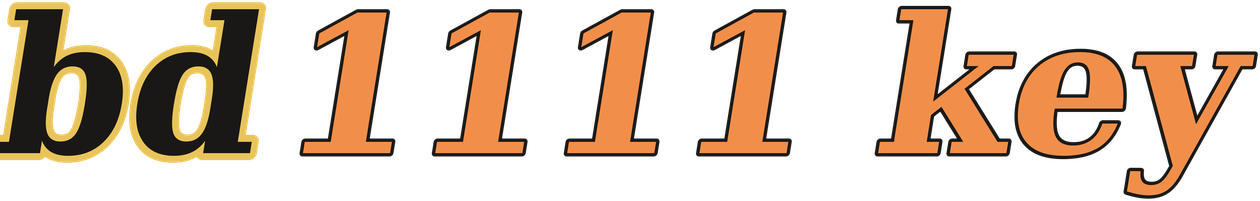 bd1111 key logo